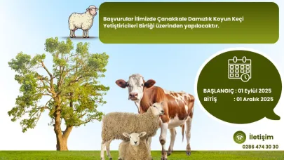 Büyükbaş ve küçükbaş hayvan destekleme başvuruları başlıyor