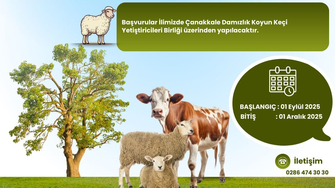 Büyükbaş ve küçükbaş hayvan destekleme başvuruları başlıyor