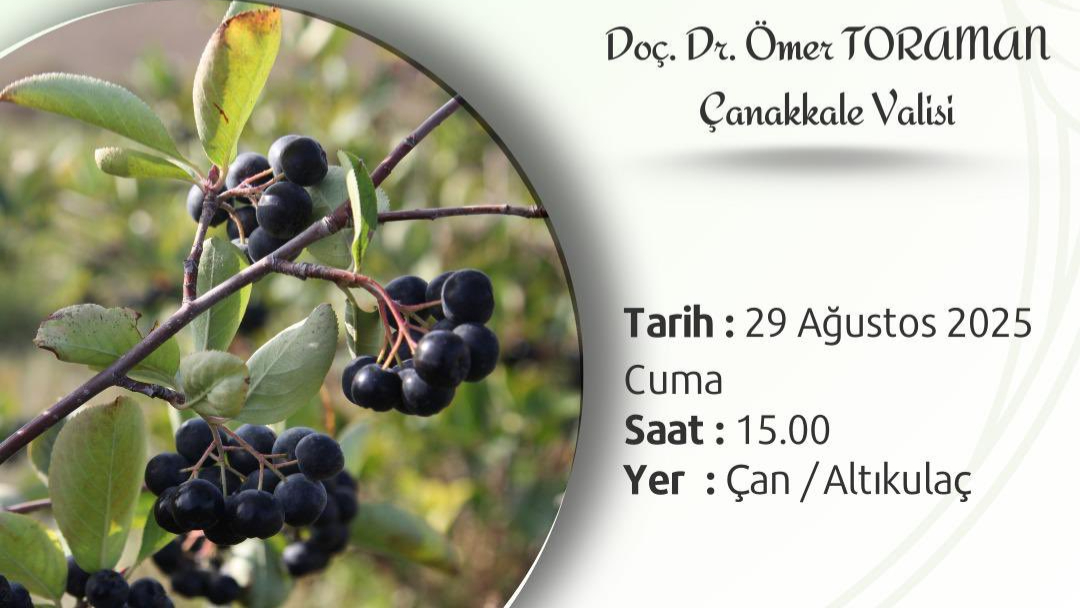 Çanakkale’de Aronya Hasadı Tarla Günü düzenlenecek