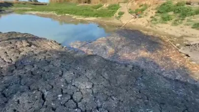 Çanakkale'de Kocabaş Çayı alarm verdi, toplu balık ölümleri yaşandı