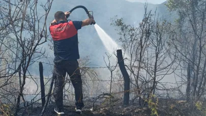 Türkeli Akçabük’te Orman Yangını