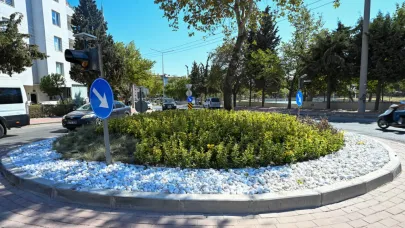 Barış Caddesi’nde peyzaj çalışmaları tamamlandı