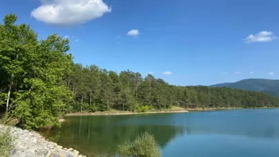 Doğaseverlerin rotası Yenice Çınarcık Göleti