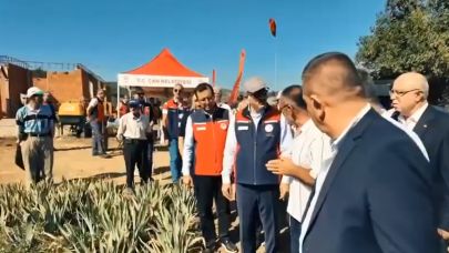 Çan'da Aronya Hasadı Başladı