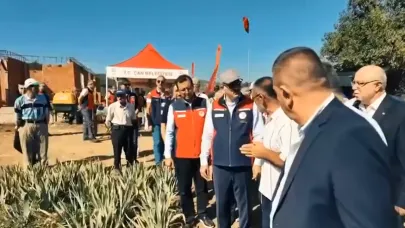 Çan'da Aronya Hasadı Başladı