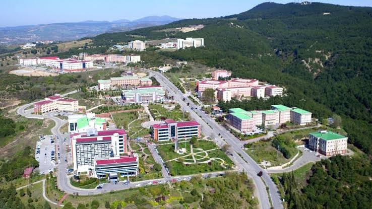 ÇOMÜ: Yanan Orman Alanları Yalnızca Ormanlaştırılacak