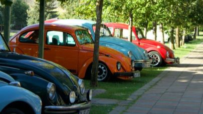 Vosvos' kampı renkli görüntülere sahne oldu