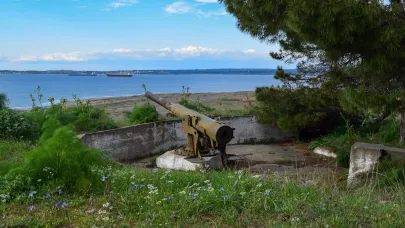 Kumkale'de çam kozalaklarını ihale yoluyla satılacak
