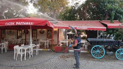 Bozcaada'da sinek mücadelesi aralıksız sürüyor!