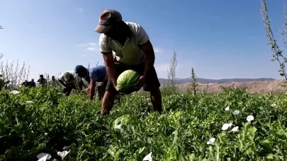 Tarlada 30 kuruş markette 11 lira