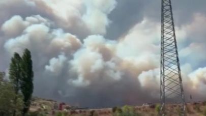 Bursa'da orman yangını