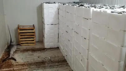 Kilolarca balığa el konuldu