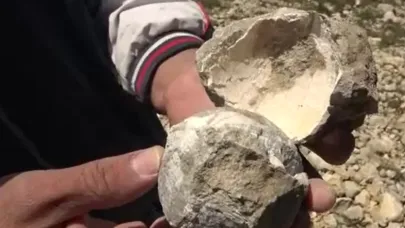 Ilgaz Dağı zirvesinde 60 milyon yıllık deniz fosili bulundu