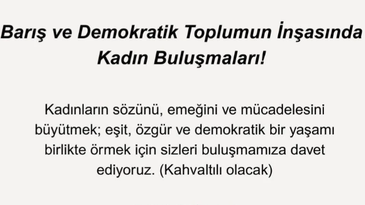 Barış ve Demokratik Toplumun İnşasında Kadın Buluşmaları Gökçeada’da