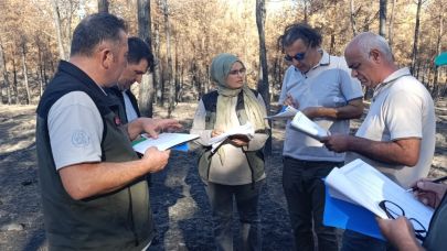 Bayramiç’te yangından etkilenen orman alanları için yeniden ağaçlandırma planları tamamlandı