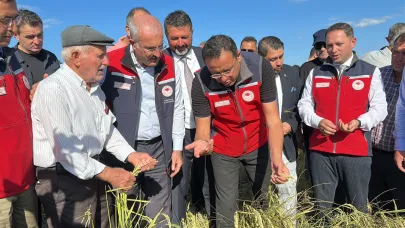 Çanakkale’de damla sulamayla çeltik hasadı başladı