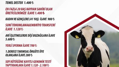 2025 yılı buzağı desteklemeleri