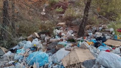 Çanakkale ormanları çöplerle dolu
