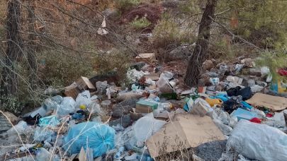 Çanakkale Ormanları Çöpten Geçilmiyor: Yangın Riski Artıyor