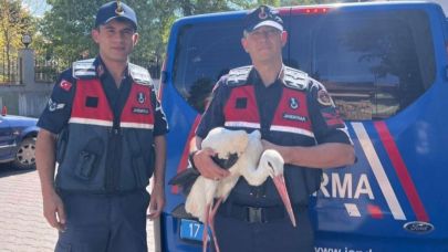 Bayramiç'te bulunan yaralı leylek tedavi altına alındı