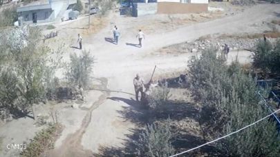 Kafası taşla ezilmek istenen baygın kocasını saldırganlara taş atarak kurtardı