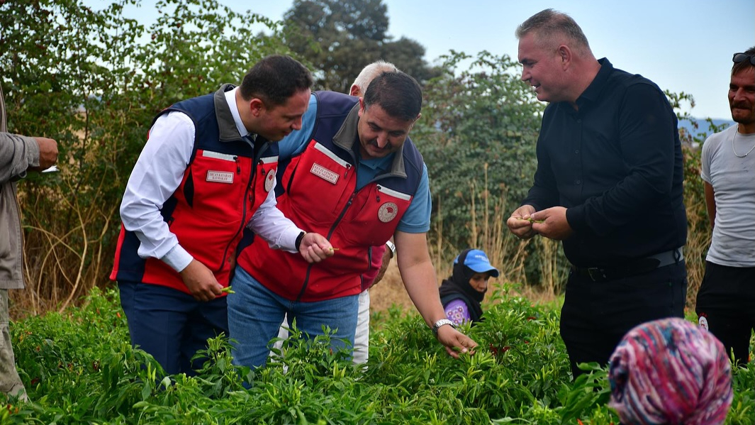 Biga Kaymakamı Kayabaşı’ndan Acı Biber Tarlası Ziyareti