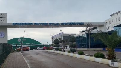 Bandırma Onyedi Eylül Üniversitesi Akademik Kadro İlanı