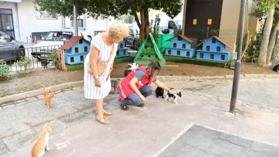 Halk Bahçesi'nde bulunan kedi evleri taşınarak kediler için güvenli ve sağlıklı yaşam alanı oluşturuldu