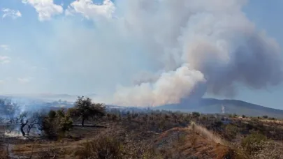Çanakkale'de tarım arazisinde yangın
