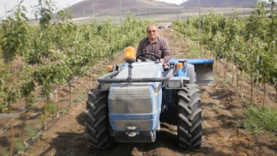 Gökçeada'dan Festival Çağrısı: Zeytin Hasadının Kalbi İçin Önemli Bir Teklif