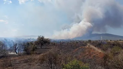 Çanakkale’de tarım arazisinde başlayarak ormanlık alana sıçrayan yangın kontrol altına alındı