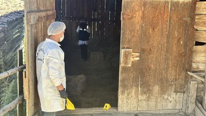 Çuval İçinde Ölü Bulunan Satı Doğruoğlu Davasında Rapor Bekleniyor