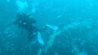 Çanakkale’de Müsilaj Alarmı: 1 Hafta İçinde Görülebilir
