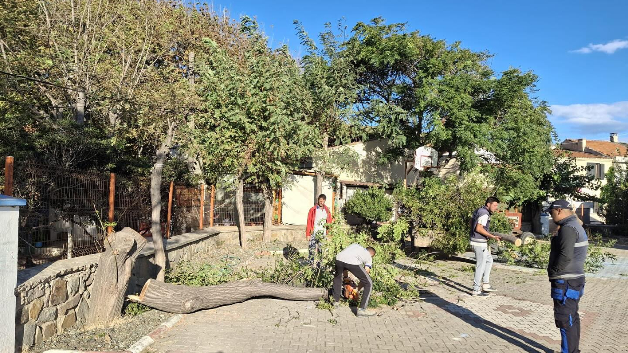 Bozcaada’da bakım ve temizlik çalışmaları sürüyor