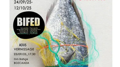 BIFED 2025’te Ulrike Koeb’ün sergisi Bozcaada’da açılıyor