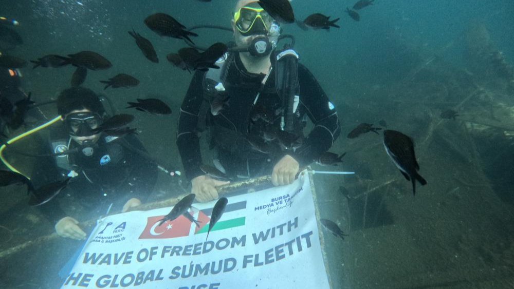 Denizin dibinde Filistin bayrağı açtılar