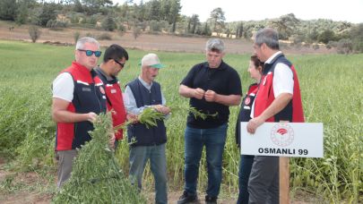 Çanakkale’de makineli susam üretimi başladı