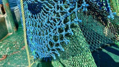 Çanakkale’de Dip Trolü Denetiminde Cezai İşlem