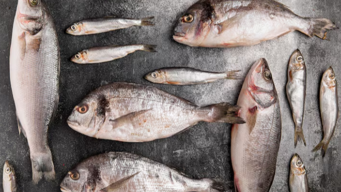 Omega-3’ten Kemik ve Kalp Sağlığına: Balığın Faydaları Her Yaş İçin Önemli