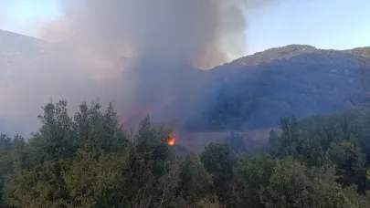 Tarlada çıkan yangın ormanlık alana sıçradı