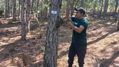 Çanakkale’de Ulusal Orman Envanteri Çalışmaları Yapılıyor