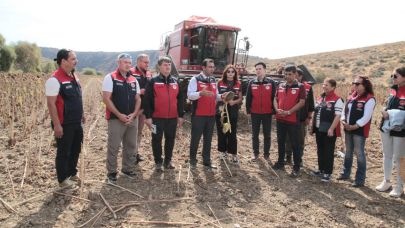 Çanakkale’de Yerli ve Milli Ayçiçek Çeşitleri Tanıtıldı