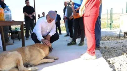 Vali Toraman, Sahipsiz Hayvan Bakımevi ve Doğal Yaşam Alanı’nda