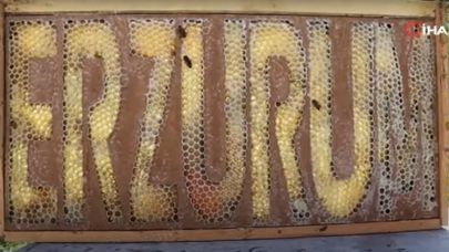 Arılarına yazmayı öğretti