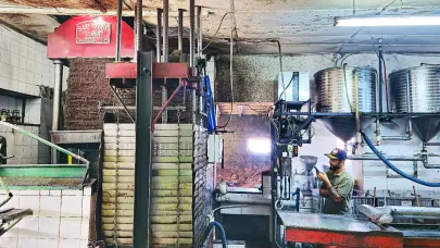 Türkiye’nin En Özel  Erken Hasat Zeytinyağını Geleneksel Taş Baskı ile Üretiyor: Tadını Bilen Bir Daha Vazgeçemiyor