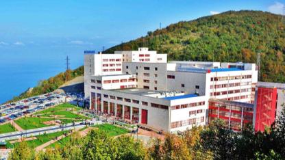 Ahşap Kültürüne Yeni Soluk: ZBEÜ'den Önemli Yönetmelik Güncellemesi