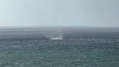 Alanya Açıklarında Hortum Korkuttu! Meteoroloji Uyardı