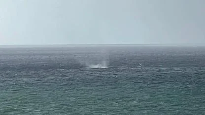 Alanya Açıklarında Hortum Korkuttu! Meteoroloji Uyardı