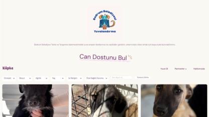 Bodrum’da Patili Dostlar İçin Örnek Proje: Dijital Yuvalandırma Platformu Erişime Açıldı