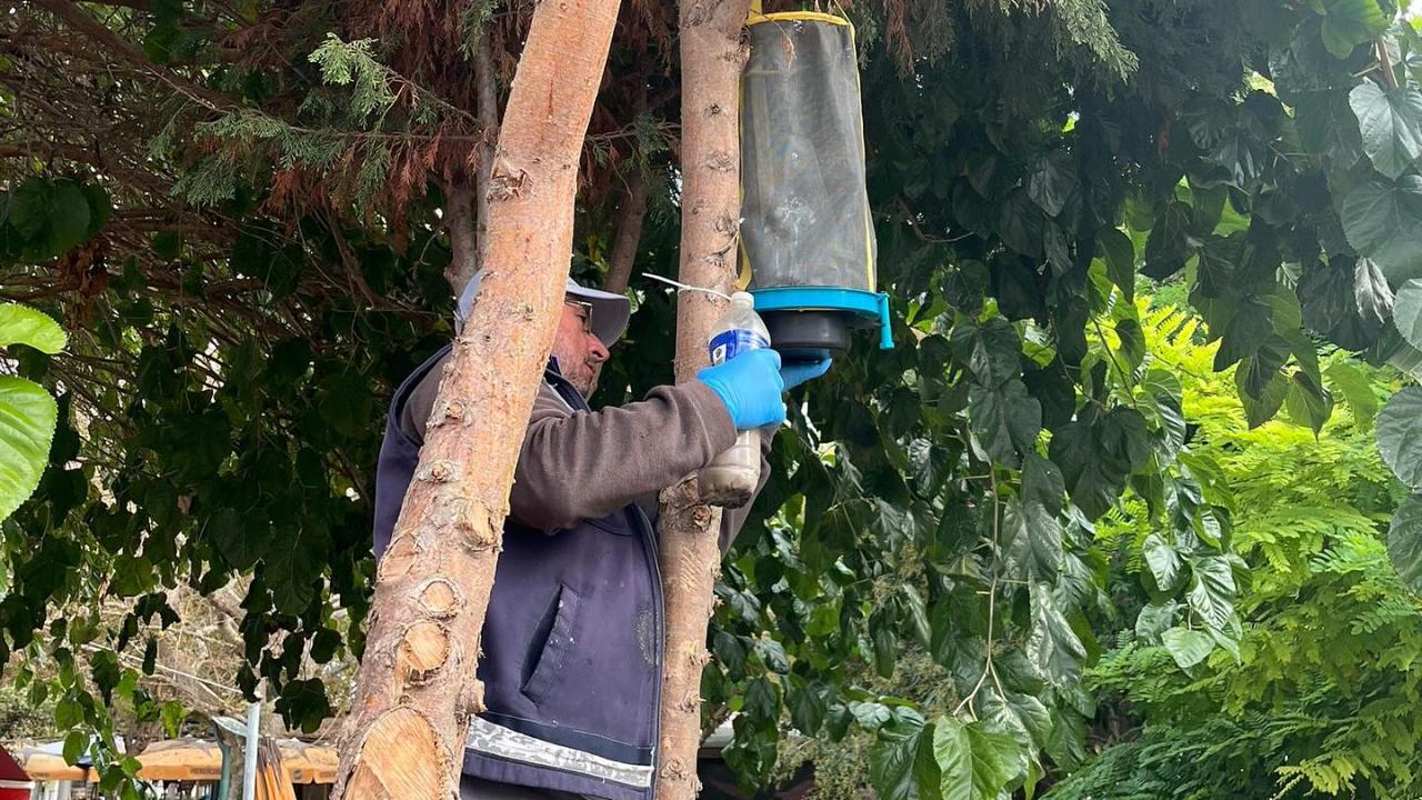 Bozcaada Belediyesi’nden sineklerle mücadele